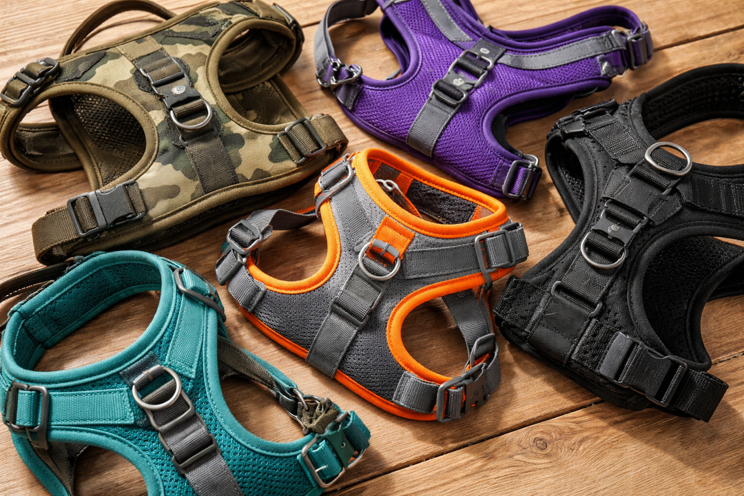 狗狗胸背帶材質懶人包：最安全、最舒服選擇方法