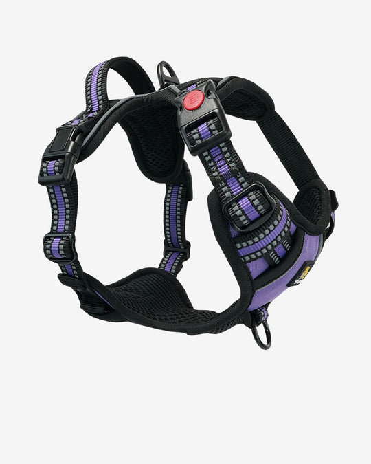 Smart Pro 易穿防拉扯胸背帶