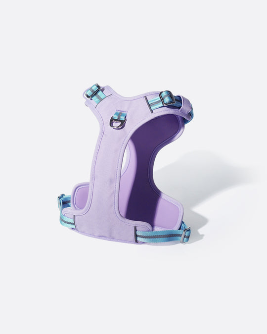 Motion Pro 防拉扯胸背帶