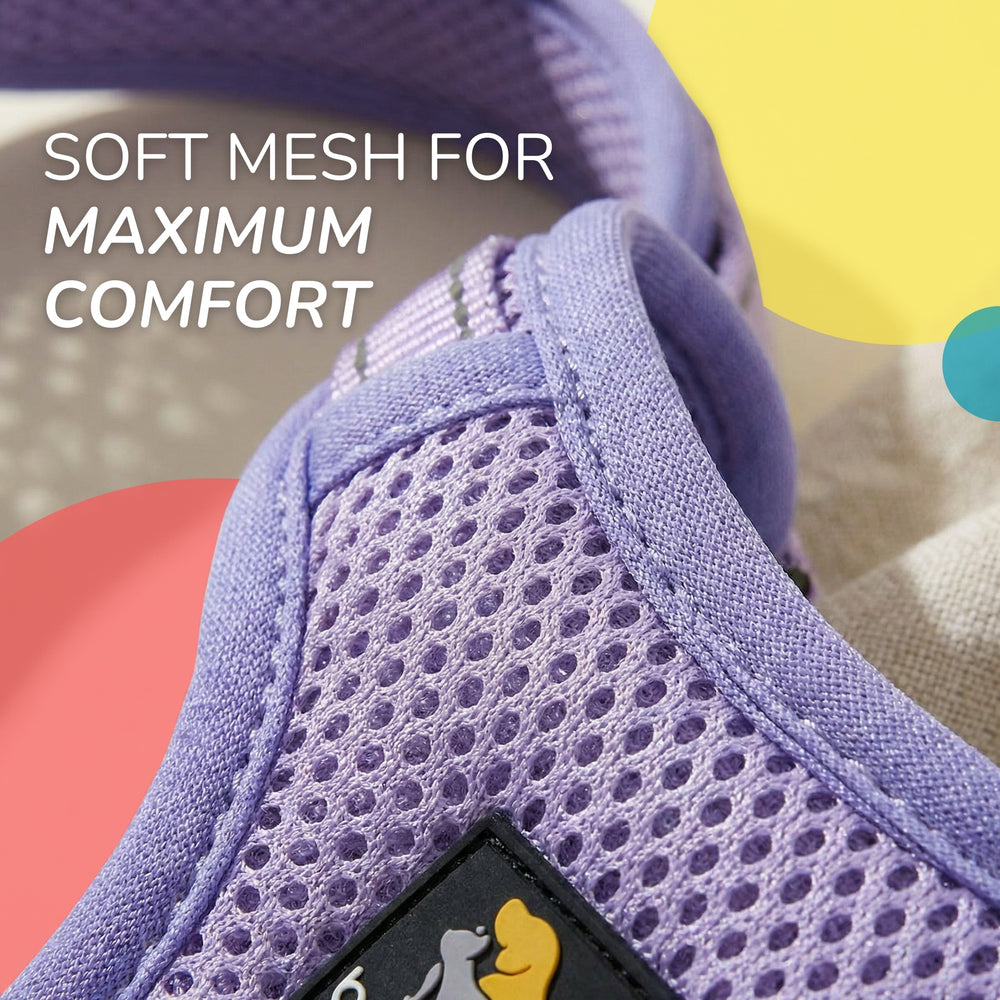 OxyMesh 踏入式胸背帶及牽引繩套裝 （可調版本）