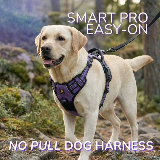 Smart Pro 易穿防拉扯胸背帶