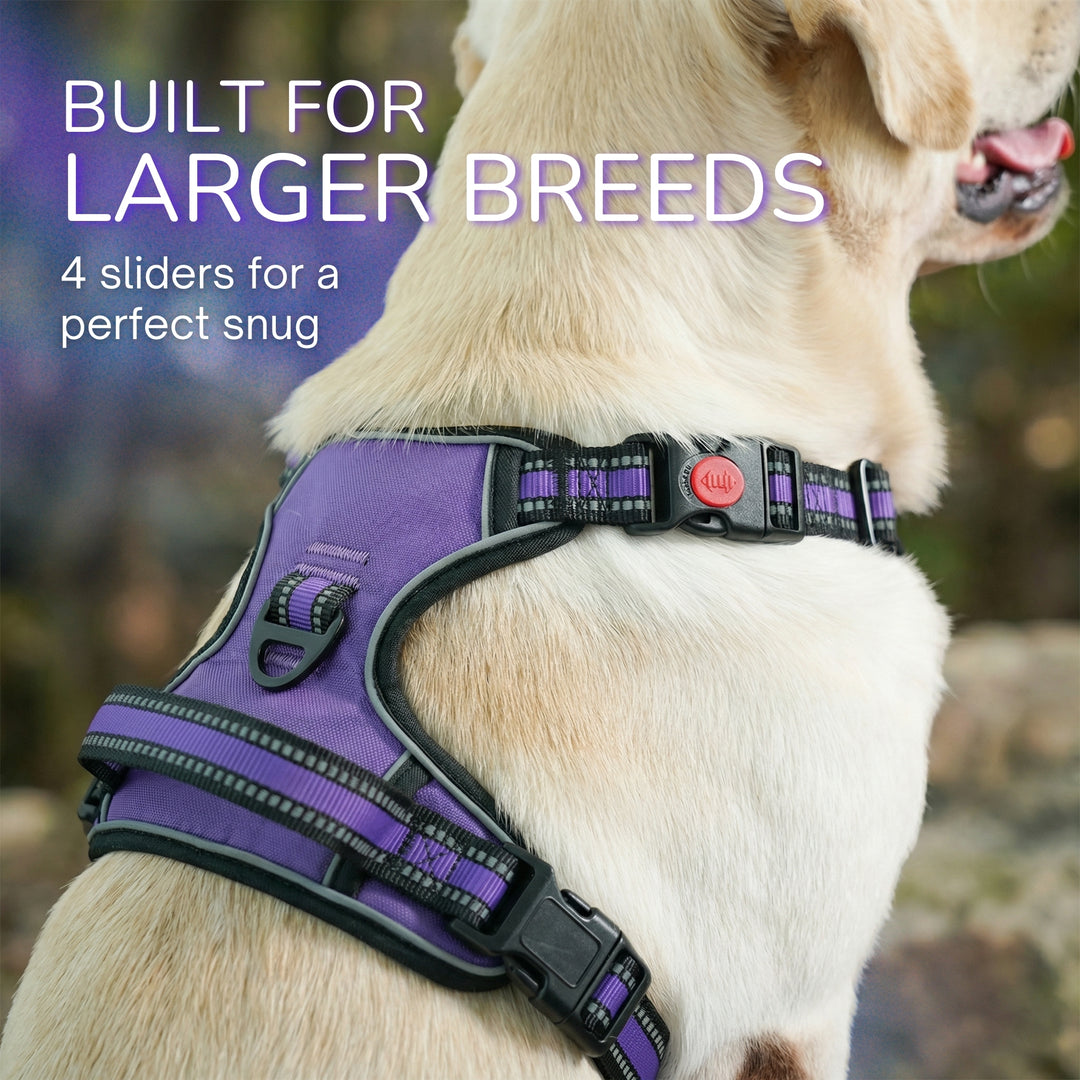 Smart Pro 易穿防拉扯胸背帶