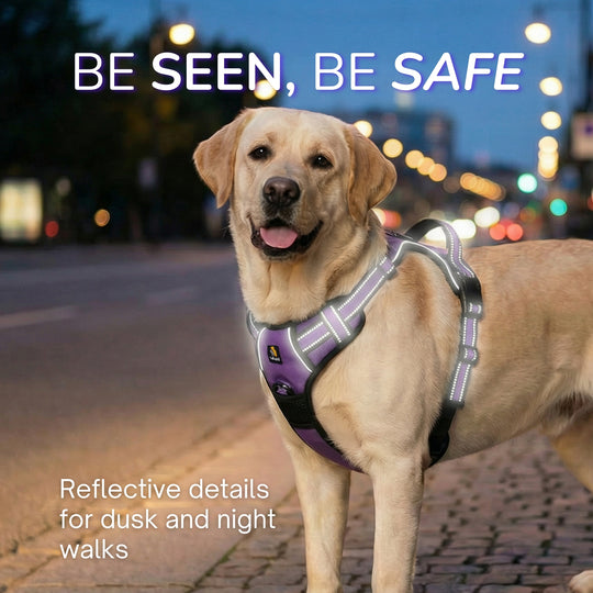 Smart Pro 易穿防拉扯胸背帶