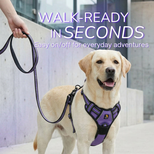 Smart Pro 易穿防拉扯胸背帶