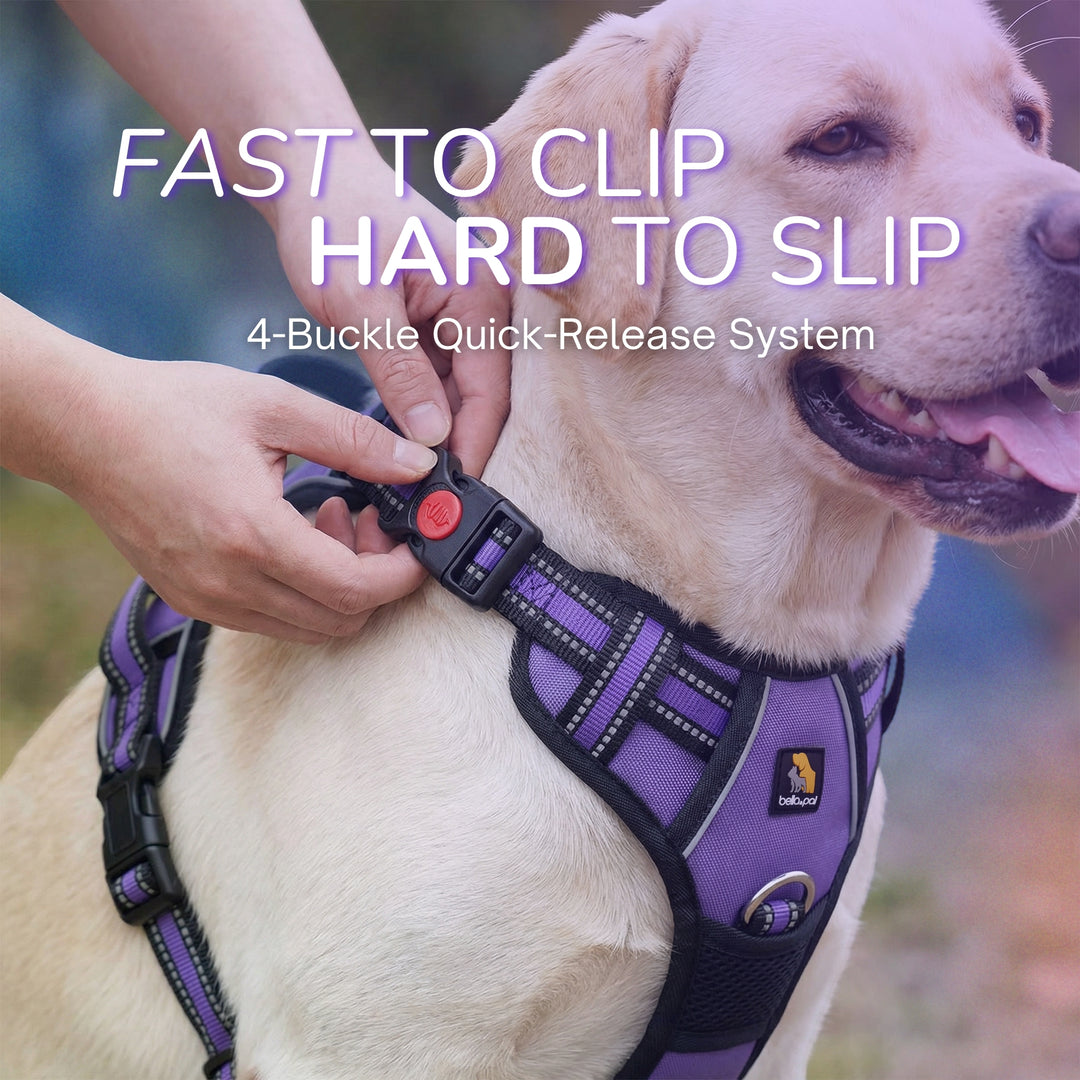 Smart Pro 易穿防拉扯胸背帶