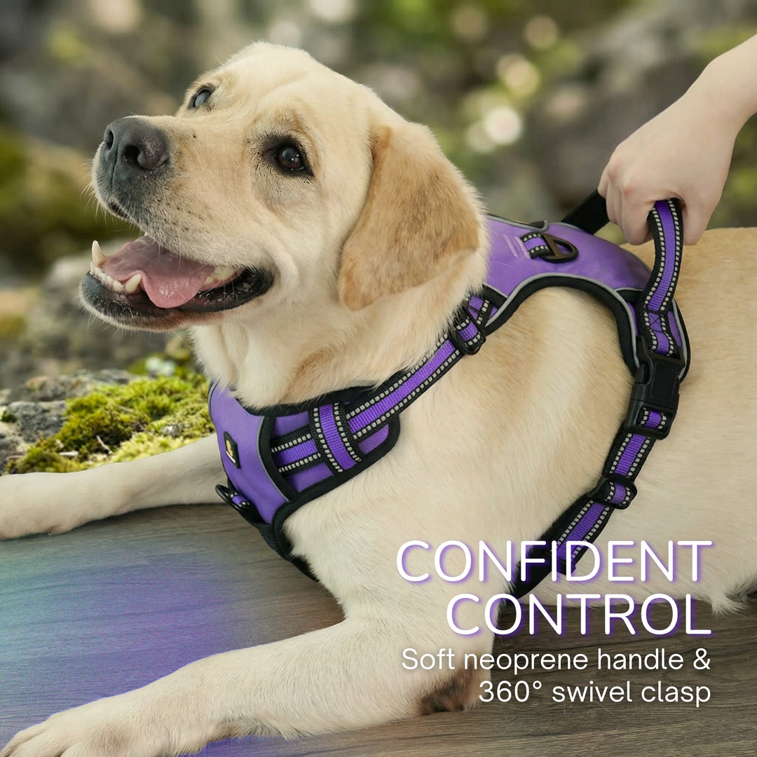 Smart Pro 易穿防拉扯胸背帶