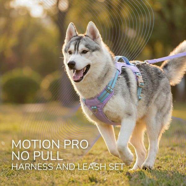 Motion Pro 防拉扯胸背帶
