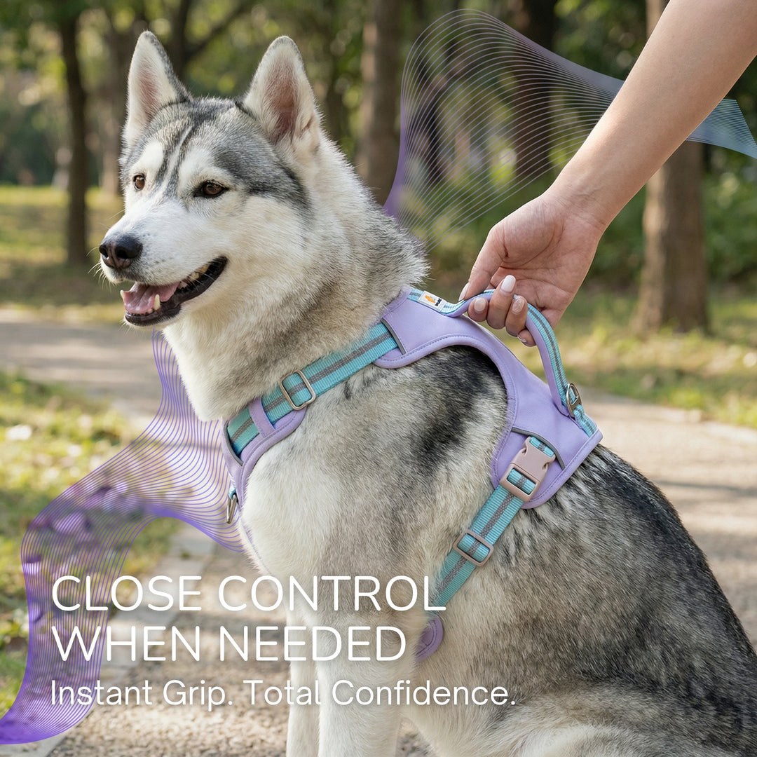 Motion Pro 防拉扯胸背帶