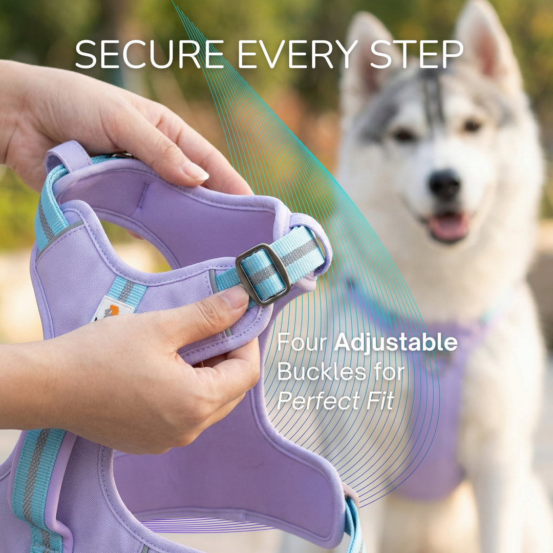 Motion Pro 防拉扯胸背帶