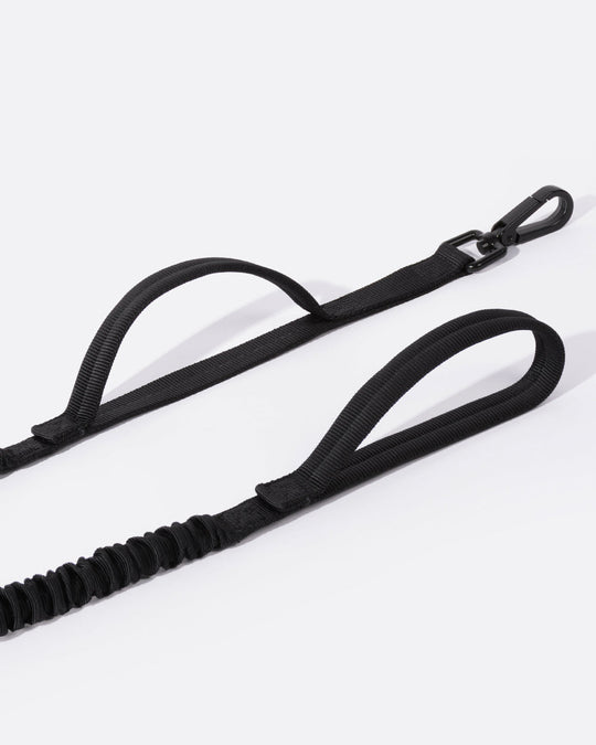 Heavy Duty Bungee Dog Leash