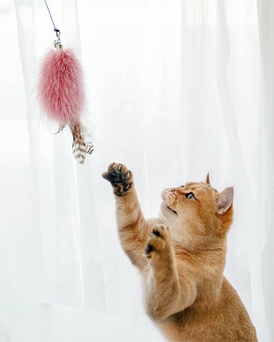 Feather Cat Teaser Wand with Bell
