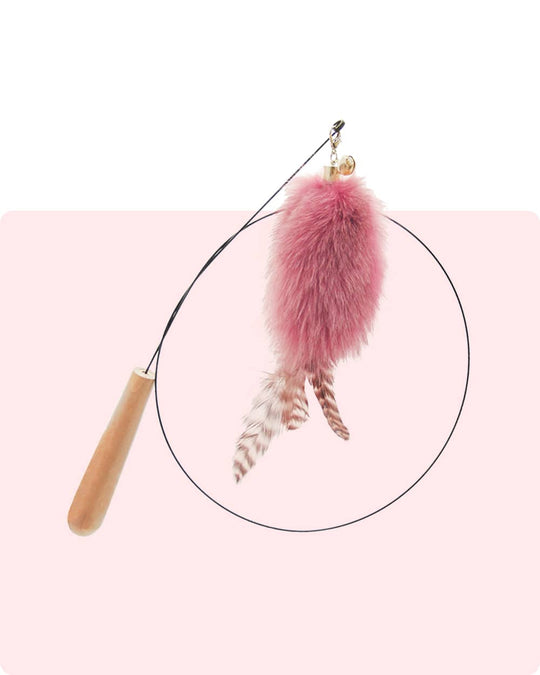 Feather Cat Teaser Wand with Bell