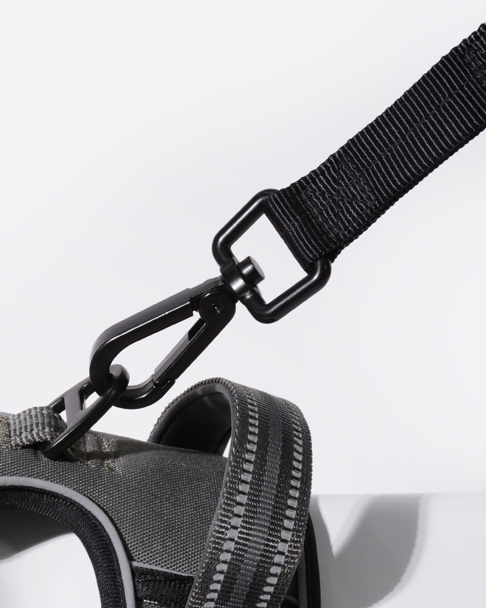 Heavy Duty Bungee Dog Leash