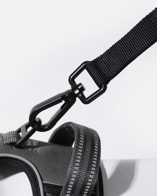 Heavy Duty Bungee Dog Leash