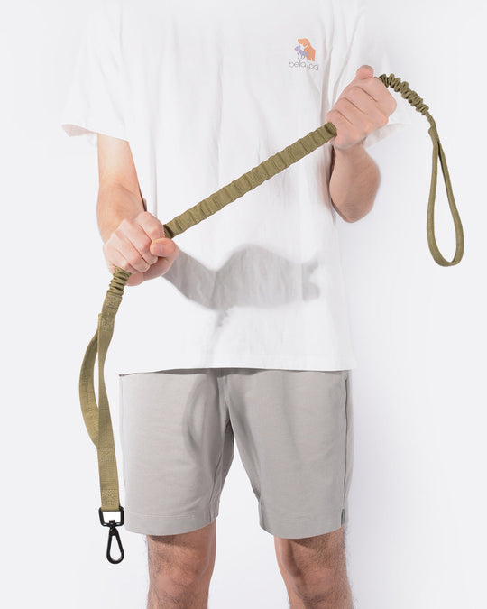 Heavy Duty Bungee Dog Leash
