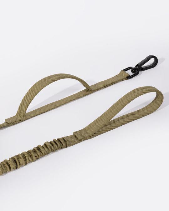 Heavy Duty Bungee Dog Leash