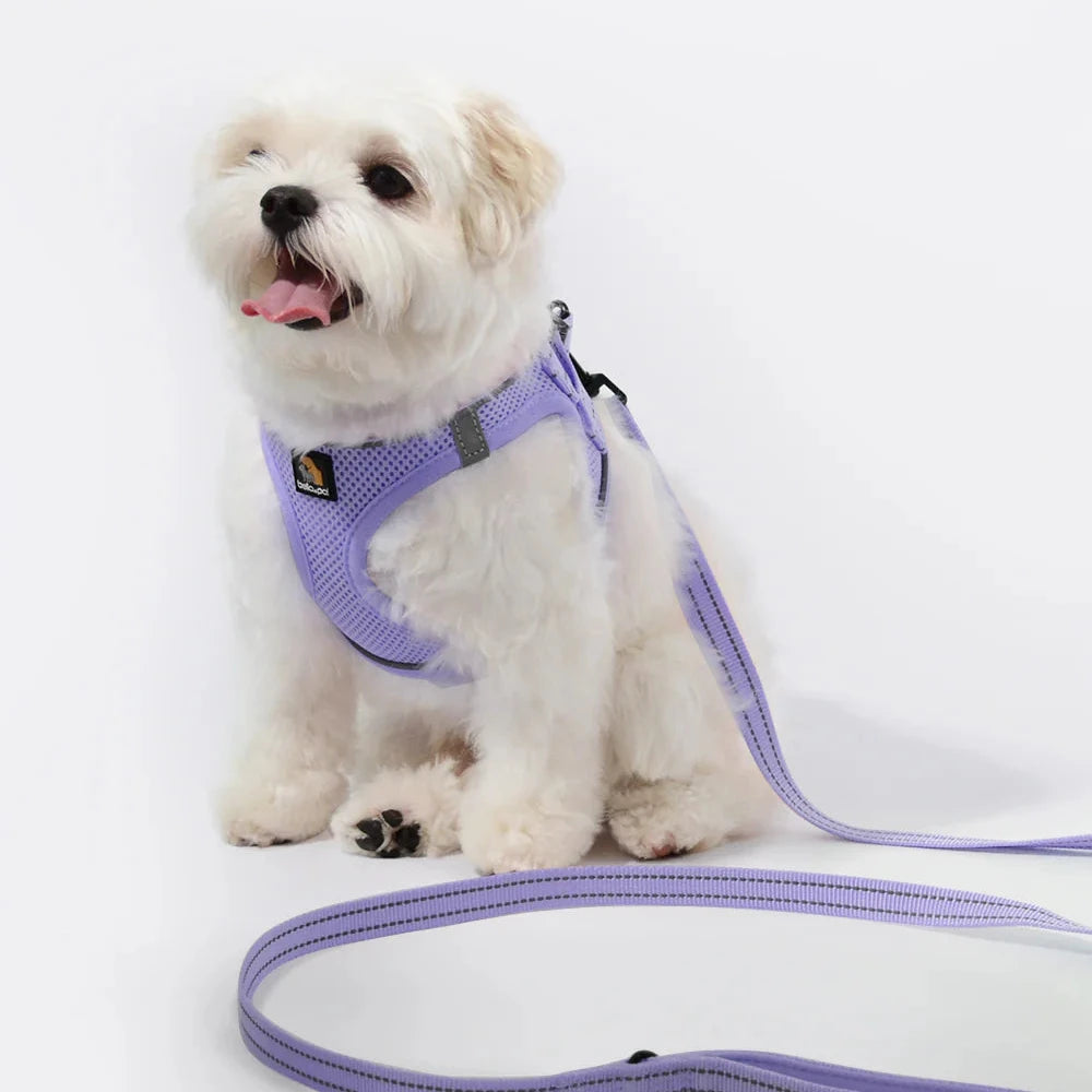 OxyMesh 踏入式胸背帶及牽引繩套裝