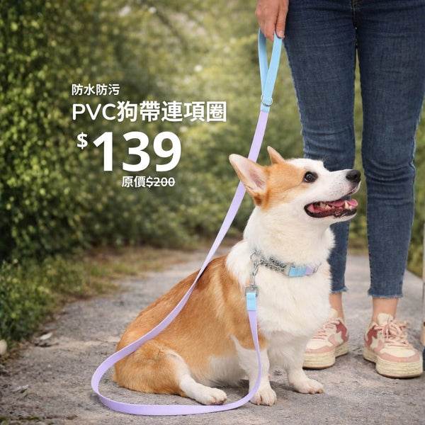 Aqua PVC 防水項圈和牽引繩套裝